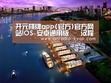 案例展示八